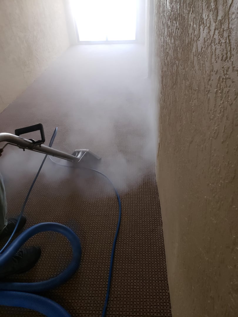 Steam rising from a carpet wand cleaning a brown hallway carpet beside a textured wall