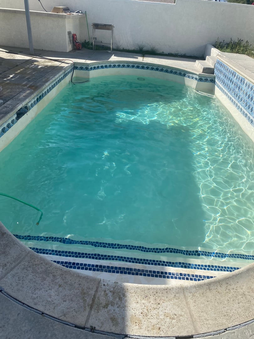 The backyard pool refilled with clear turquoise water after cleaning, blue tile steps visible