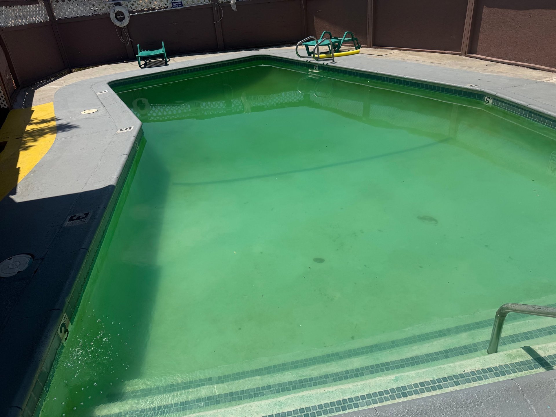 Before: fenced pool with cloudy green algae water, a ladder and deck chairs